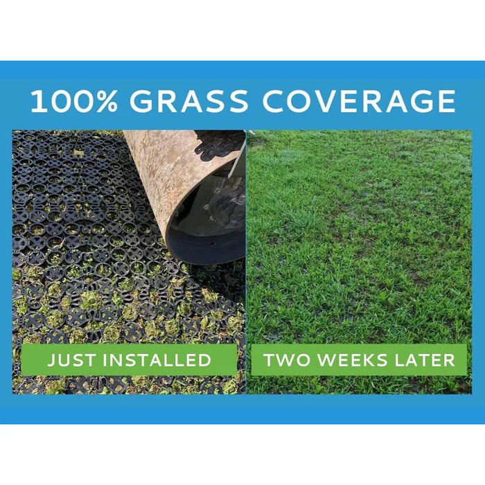 TrueGrid® Pro-Lite Plastic Permeable Paver Grid - 24" W x 24" L x 1" H - 4 SQ FT